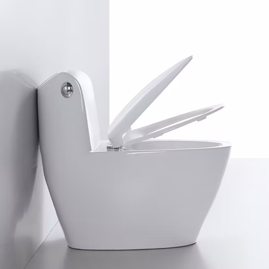 Banheiro doméstico tipo sifão mudo pequeno apartamento com descarga